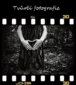 Tvůrčí fotografie 